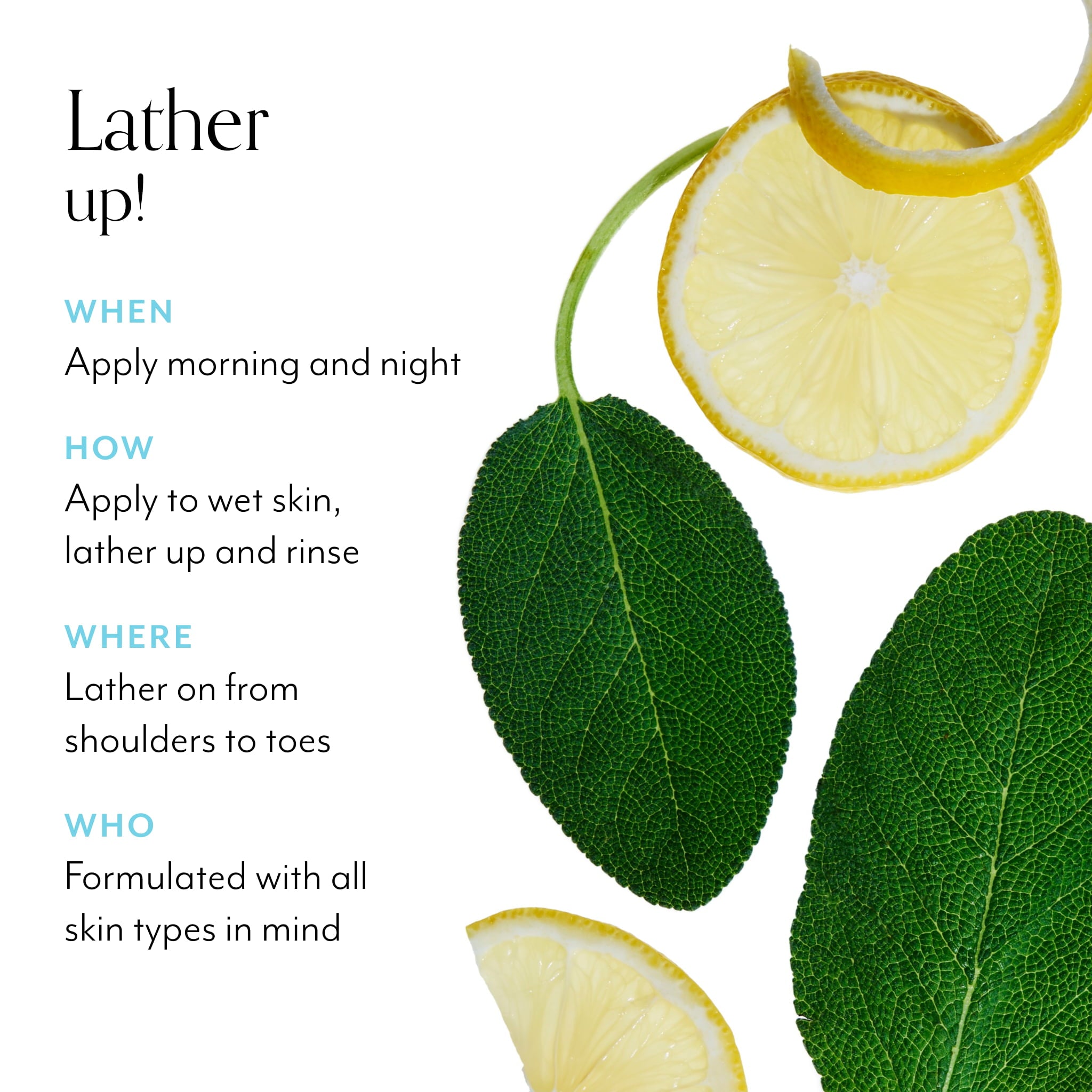 Lemon & Sage Soapy Suds Body Wash - Image 4