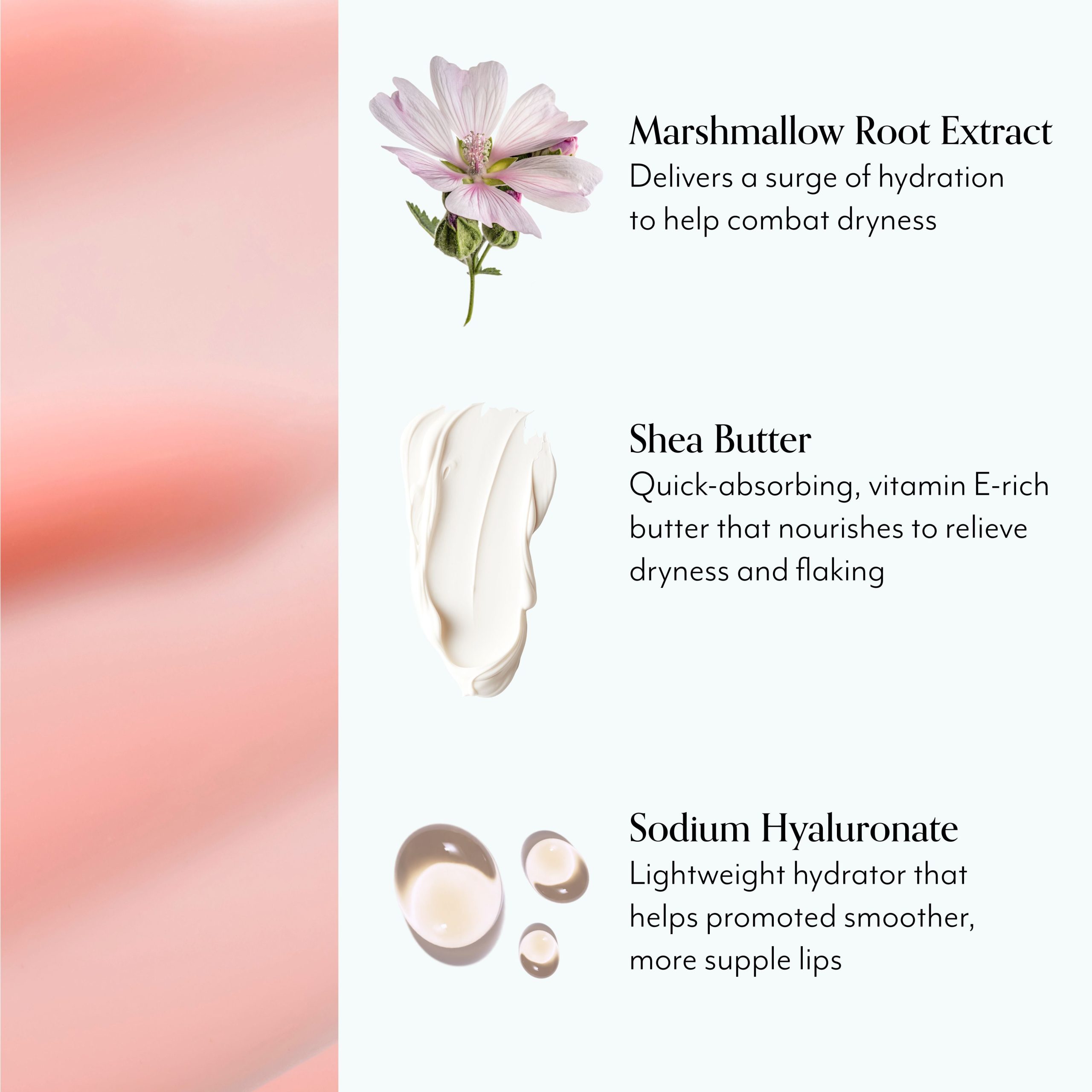 Mighty Marshmallow Hydrating Lip Mask with Marshmallow Root Extract - Image 4