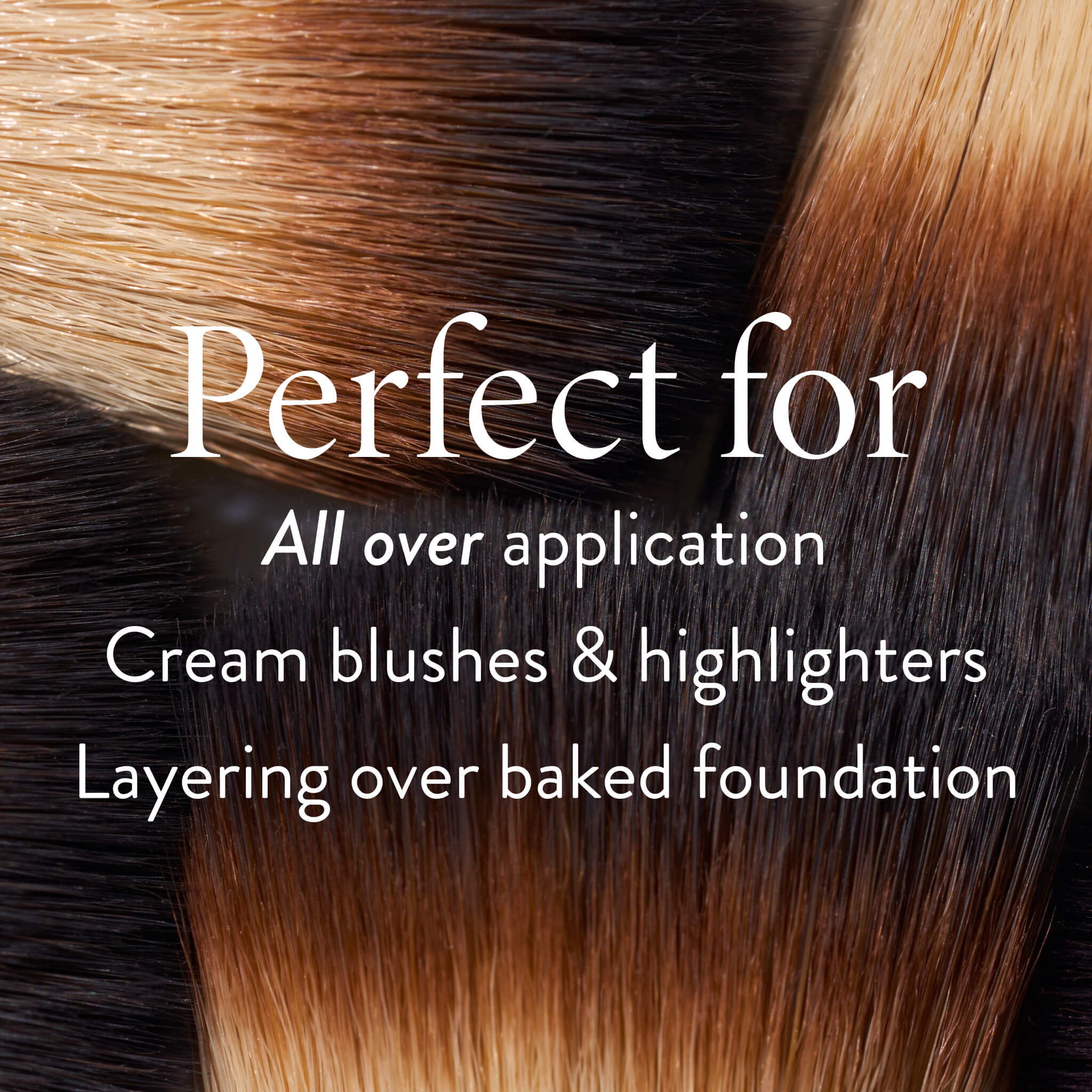 The Wonder Brush - Image 4